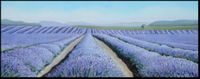 Purple Summer - acryl op doek, 100cm x 40cm